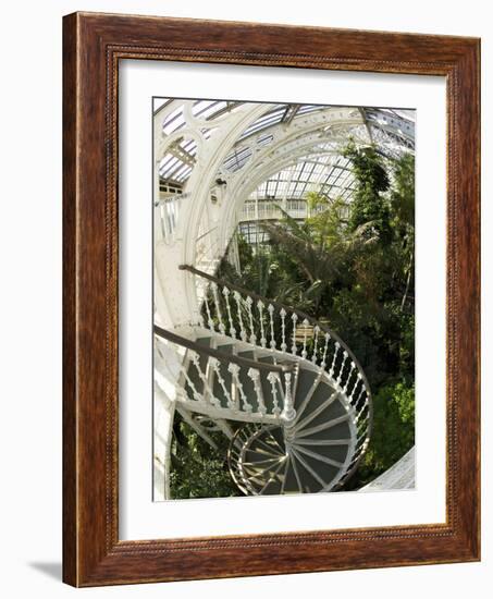 Staircase in Temperate House, Royal Botanic Gardens, UNESCO World Heritage Site, London, England-Peter Barritt-Framed Photographic Print