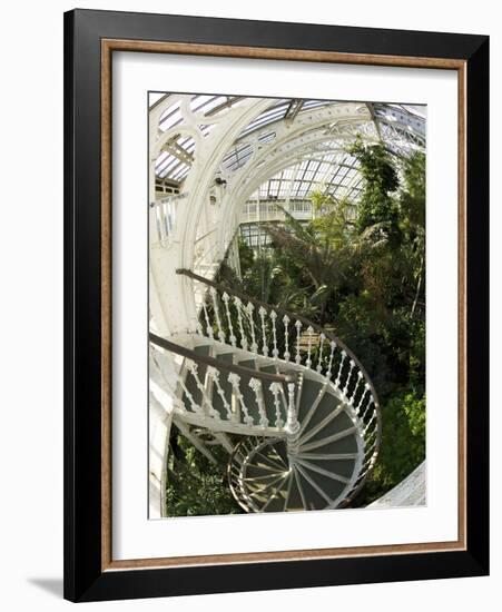 Staircase in Temperate House, Royal Botanic Gardens, UNESCO World Heritage Site, London, England-Peter Barritt-Framed Photographic Print