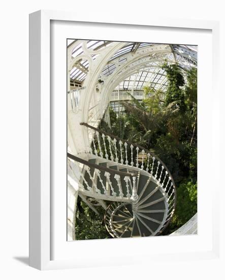 Staircase in Temperate House, Royal Botanic Gardens, UNESCO World Heritage Site, London, England-Peter Barritt-Framed Photographic Print