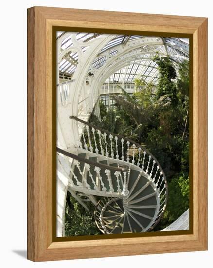 Staircase in Temperate House, Royal Botanic Gardens, UNESCO World Heritage Site, London, England-Peter Barritt-Framed Premier Image Canvas