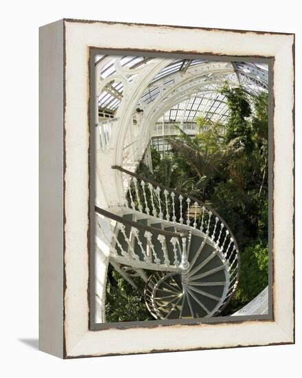 Staircase in Temperate House, Royal Botanic Gardens, UNESCO World Heritage Site, London, England-Peter Barritt-Framed Premier Image Canvas