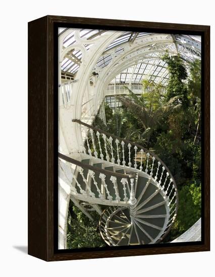 Staircase in Temperate House, Royal Botanic Gardens, UNESCO World Heritage Site, London, England-Peter Barritt-Framed Premier Image Canvas
