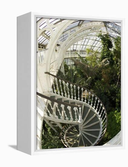 Staircase in Temperate House, Royal Botanic Gardens, UNESCO World Heritage Site, London, England-Peter Barritt-Framed Premier Image Canvas