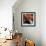 Staircase in the Old Building/ Entrance to La Guarida Restaurant, Havana, Cuba, Caribbean-Nadia Isakova-Framed Photographic Print displayed on a wall