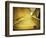 Staircase-Irene Suchocki-Framed Photographic Print