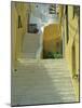 Staircases Between Houses, Yialos, Symi, Dodecanese Islands, Greek Islands, Greece, Europe-Amanda Hall-Mounted Photographic Print