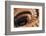 Stairs, France-Panoramic Images-Framed Photographic Print
