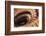 Stairs, France-Panoramic Images-Framed Photographic Print