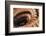 Stairs, France-Panoramic Images-Framed Photographic Print