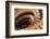 Stairs, France-Panoramic Images-Framed Photographic Print