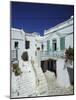 Stairs, Houses and Decorations of Chora, Cyclades Islands, Greece-Michele Molinari-Mounted Photographic Print