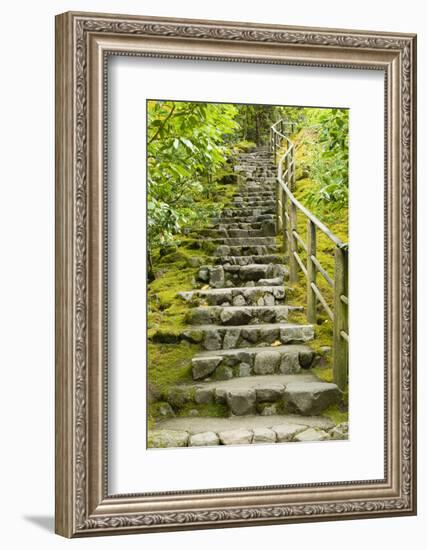 Stairs in Japanese Garden, Portland, Oregon, USA-Panoramic Images-Framed Photographic Print