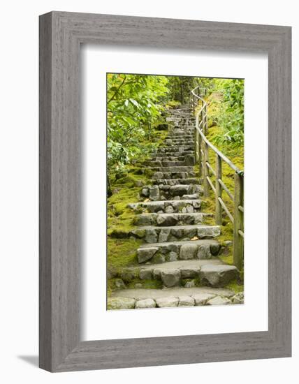 Stairs in Japanese Garden, Portland, Oregon, USA-Panoramic Images-Framed Photographic Print