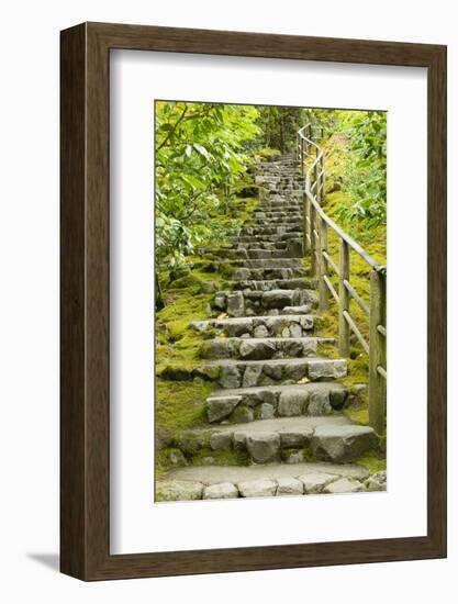 Stairs in Japanese Garden, Portland, Oregon, USA-Panoramic Images-Framed Photographic Print