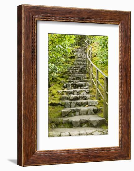 Stairs in Japanese Garden, Portland, Oregon, USA-Panoramic Images-Framed Photographic Print