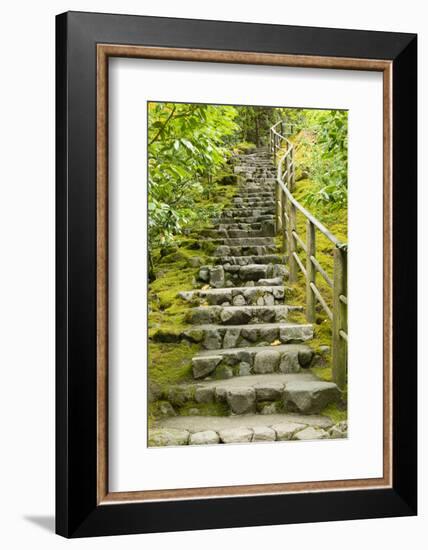 Stairs in Japanese Garden, Portland, Oregon, USA-Panoramic Images-Framed Photographic Print