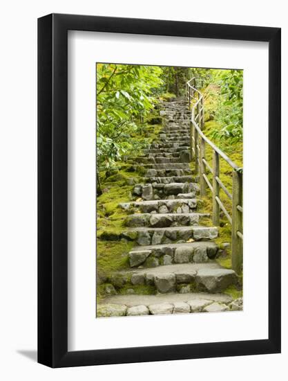 Stairs in Japanese Garden, Portland, Oregon, USA-Panoramic Images-Framed Photographic Print