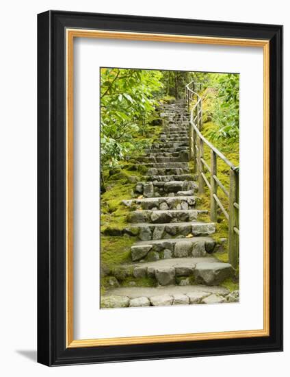Stairs in Japanese Garden, Portland, Oregon, USA-Panoramic Images-Framed Photographic Print