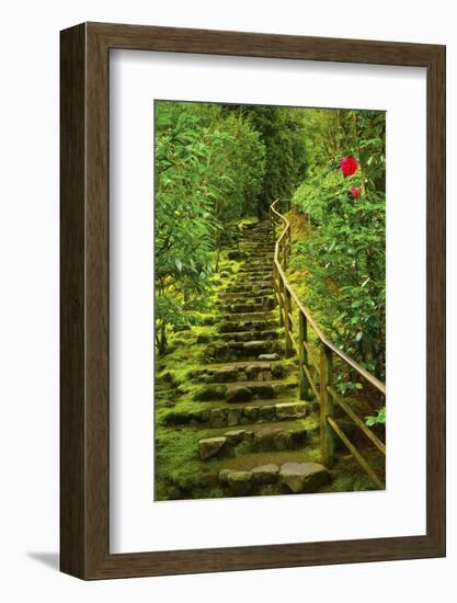 Stairs in Wild Garden, Portland Japanese Garden, Portland, Oregon, Usa-Michel Hersen-Framed Photographic Print