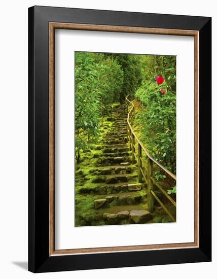 Stairs in Wild Garden, Portland Japanese Garden, Portland, Oregon, Usa-Michel Hersen-Framed Photographic Print