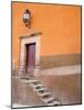Stairs Leading In, San Miguel, Guanajuato State, Mexico-Julie Eggers-Mounted Photographic Print