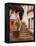 Stairs Leading into a Building, Berkeley, California, USA-Tom Haseltine-Framed Premier Image Canvas