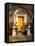 Stairs Leading to Bright Yellow Door, Dublin, Ireland-Tom Haseltine-Framed Premier Image Canvas