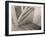 Stairs, Mexico City by Tina Modotti-Fine Art-Framed Photographic Print