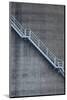 Stairs on Old Silo at Silo Park, Wynyard Quarter, Auckland, North Island, New Zealand-David Wall-Mounted Photographic Print