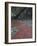 Stairs, Savannah, Georgia, USA-Joanne Wells-Framed Photographic Print