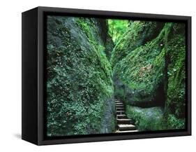 Stairs to the Mary's gorge-Roland Gerth-Framed Premier Image Canvas