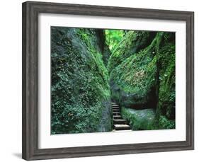 Stairs to the Mary's gorge-Roland Gerth-Framed Photographic Print