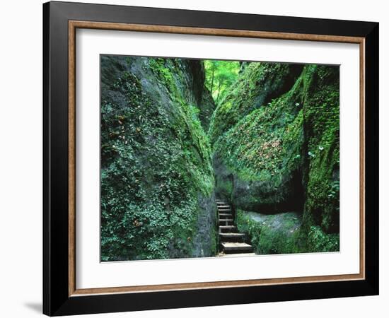Stairs to the Mary's gorge-Roland Gerth-Framed Photographic Print