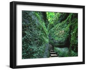 Stairs to the Mary's gorge-Roland Gerth-Framed Photographic Print