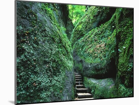 Stairs to the Mary's gorge-Roland Gerth-Mounted Photographic Print
