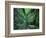 Stairs to the Mary's gorge-Roland Gerth-Framed Photographic Print