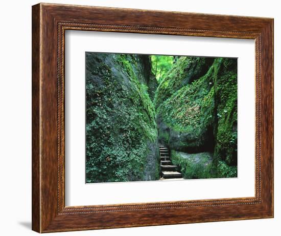 Stairs to the Mary's gorge-Roland Gerth-Framed Photographic Print