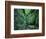 Stairs to the Mary's gorge-Roland Gerth-Framed Photographic Print