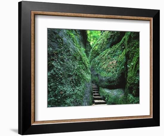 Stairs to the Mary's gorge-Roland Gerth-Framed Photographic Print