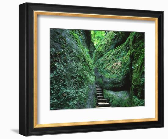 Stairs to the Mary's gorge-Roland Gerth-Framed Photographic Print