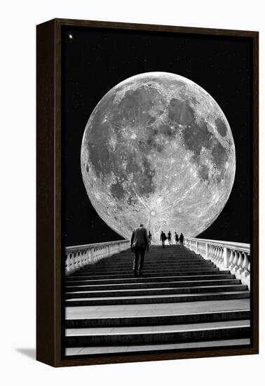 Stairs to the Moon-egd1-Framed Premier Image Canvas