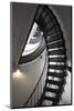 Stairs to the Top of the Saint Augustine Lighthouse, Florida, USA-Joanne Wells-Mounted Photographic Print