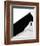 Stairs-Olavo Azevedo-Framed Giclee Print