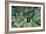 Stairway at Auvers-Vincent van Gogh-Framed Giclee Print