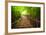 Stairway to Forest, Erawan National Park,Kanchanburi,Thailand-lkunl-Framed Photographic Print