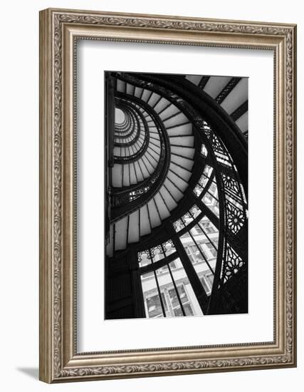 Stairwell The Rookery Chicago IL-Steve Gadomski-Framed Photographic Print