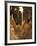 Stalactites and Stalagmites, Drapery Room, Mammoth Cave National Park, Kentucky, USA-Adam Jones-Framed Photographic Print