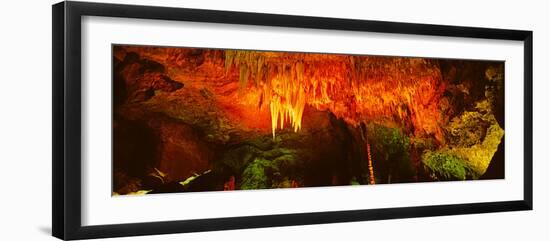 Stalactites and Stalagmites Formation in a Cave, Carlsbad Caverns National Park-null-Framed Photographic Print