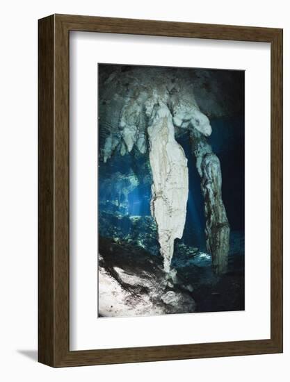 Stalactites in Gran Cenote, Tulum, Yucatan Peninsula, Mexico-Reinhard Dirscherl-Framed Photographic Print