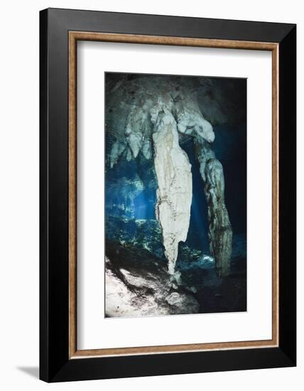 Stalactites in Gran Cenote, Tulum, Yucatan Peninsula, Mexico-Reinhard Dirscherl-Framed Photographic Print